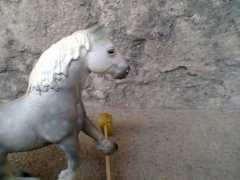 ranch-mustang.blog.cz Pajika