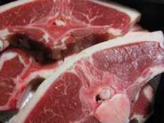 monkeyfood.net Pajuniemi