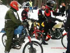 nettimp.com Pajunoja