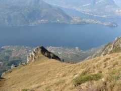 Palagia