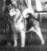 pdg.sla-w.com Palarz