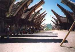 travelblues.be Palawa