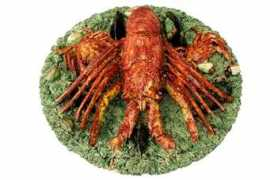 Palissy