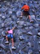 fotolibra.com Pallent