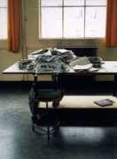 lostateminor.com Palmen