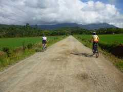 de.wikiloc.com Palmital