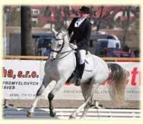 farmaletnistran.cz Pampalini