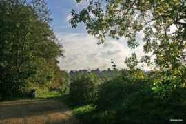 picturesofengland.com Pamphill