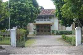 Pangudi