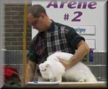 chatterie-catsland.com Pantigny