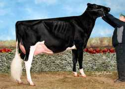 holsteinworld.com Pappys