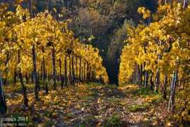 panoramio.com Parallele