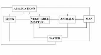 lindane.org Paratori
