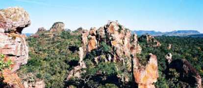 goias.gov.br Parauna