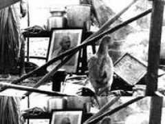 littlemag.com Parpiani