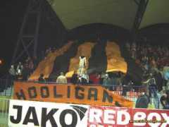 kibicekszo.com Pasiak