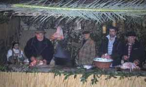 massalubrense.it Pastaie