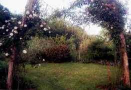 gailbarton.com Pastorek