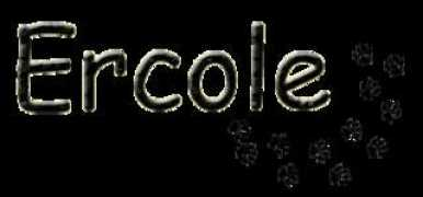 alexfalcone.com Patatone