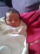 eitanlevy.com Patisa