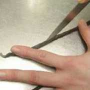 la-fontaine.co.jp Patiss