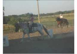 horsechannel.com Pauliena