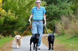 cambridgecrittersitter.com Peaceofmind