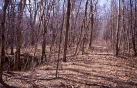 wmwestsub.com Pearre