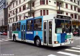 tramz.com Pechini