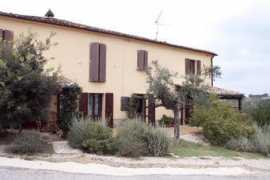 Pecorale
