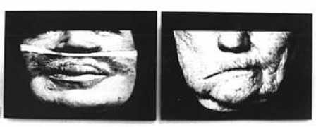 fototapeta.art.pl Pedanik
