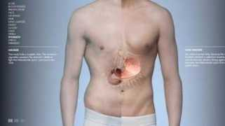 dagbladet.no Pekeren