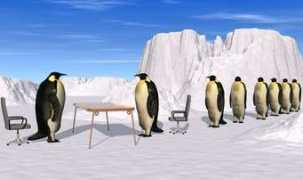 convictioncareers.org Pengwin