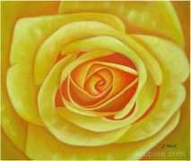doupine.com Penoy