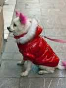 objetivomalaga.diariosur.es Pequenina