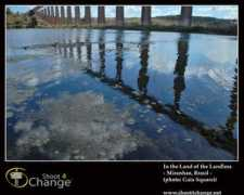 shootforchange.ontheroad.to Pequia