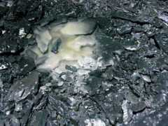 aditnow.co.uk Perals