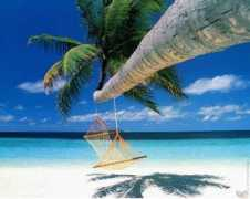 imiglioricontenuti.weebly.com Peronti
