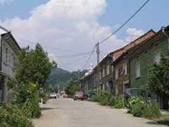 Perpelea