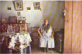 elartedevivirelflamenco.com Perrata