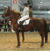 eng.agraria.org Persano