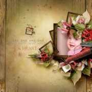 digishoptalk.com Persiancat