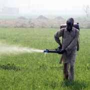 cseindia.org Pesticide