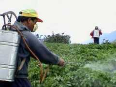 topnews.in Pesticide