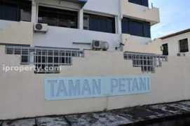 Petani