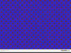 colourlovers.com Petece