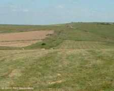 wansdyke21.org.uk Petetan