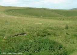 wansdyke21.org.uk Petetan