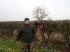lancsfalconry.co.uk Pethare