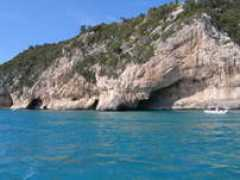 Petrioli